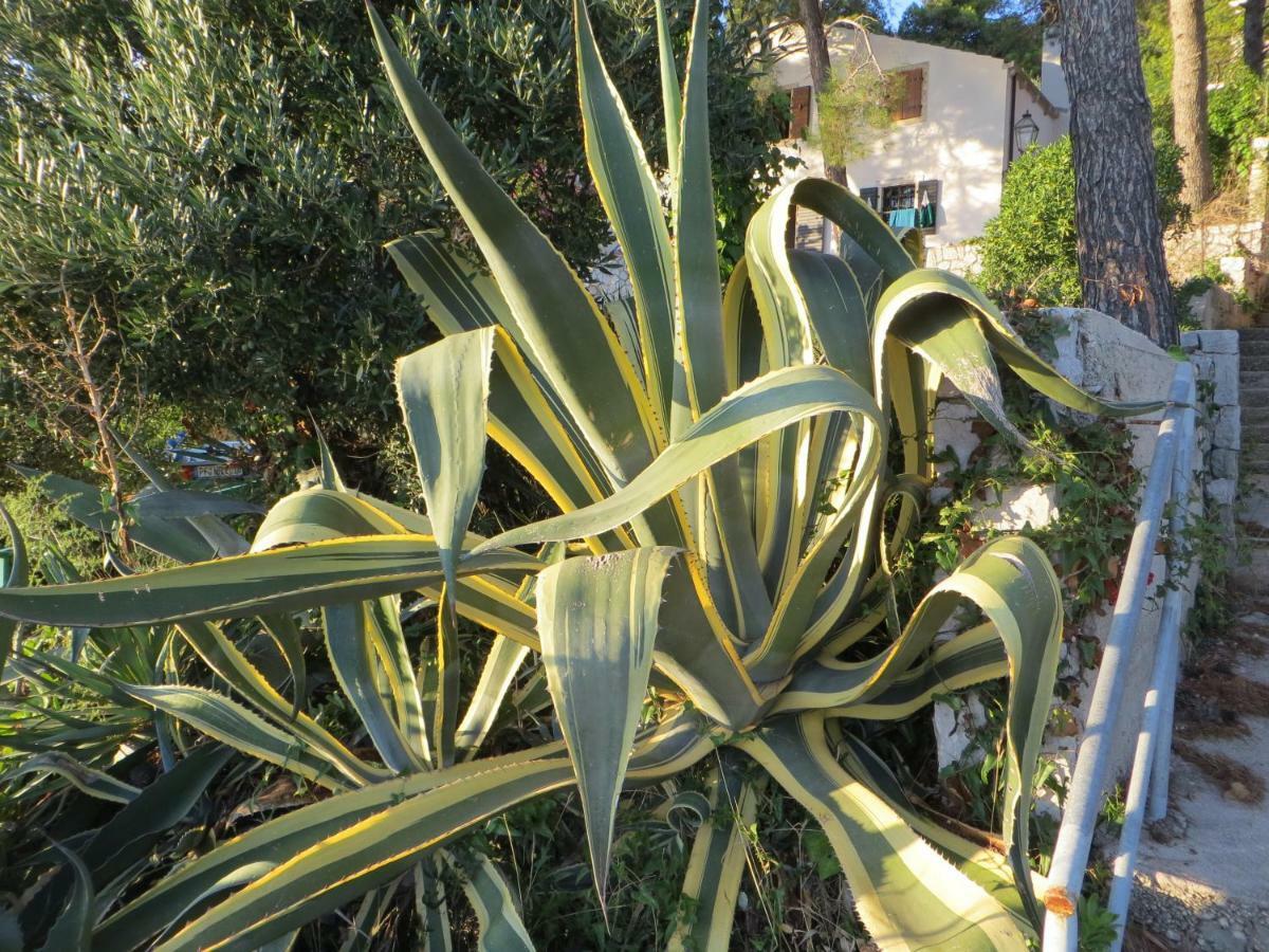 Apartment Sunshine Mali Lošinj Eksteriør bilde