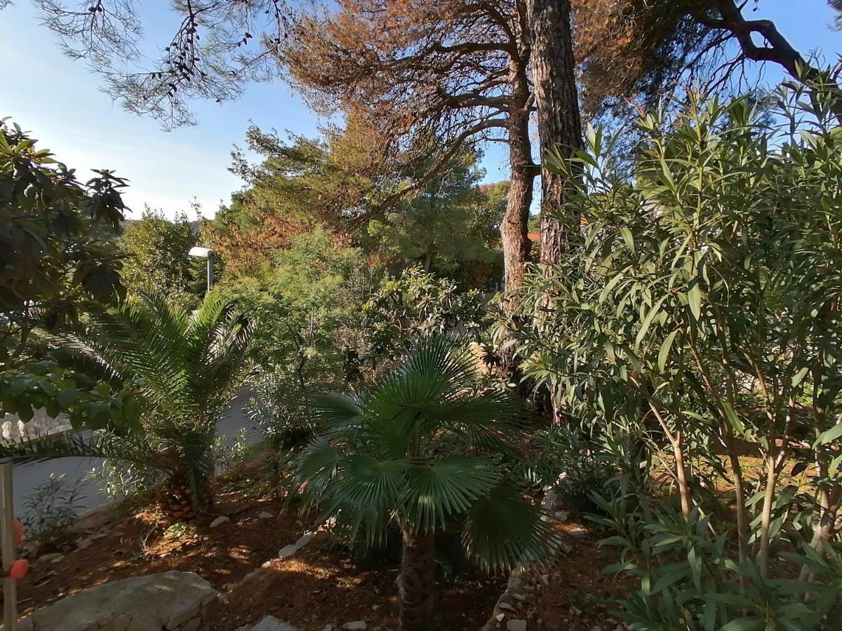 Apartment Sunshine Mali Lošinj Eksteriør bilde
