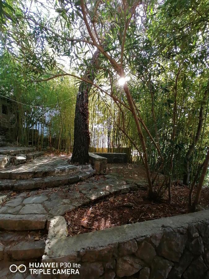 Apartment Sunshine Mali Lošinj Eksteriør bilde